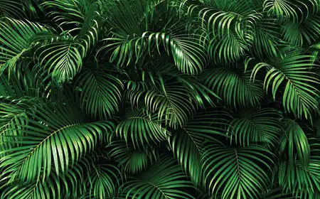 Provident Palmvista Shilphata Puravankara